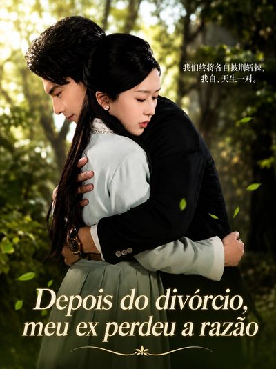 Depois do Divórcio, Meu Ex Perdeu a Razão