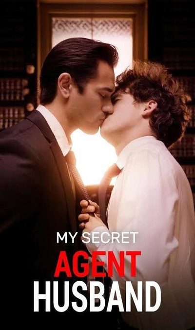 Meu Marido Agente Secreto