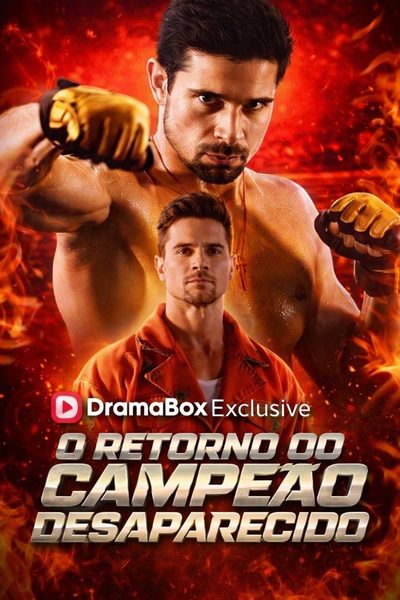 O Retorno do Campeão Desaparecido